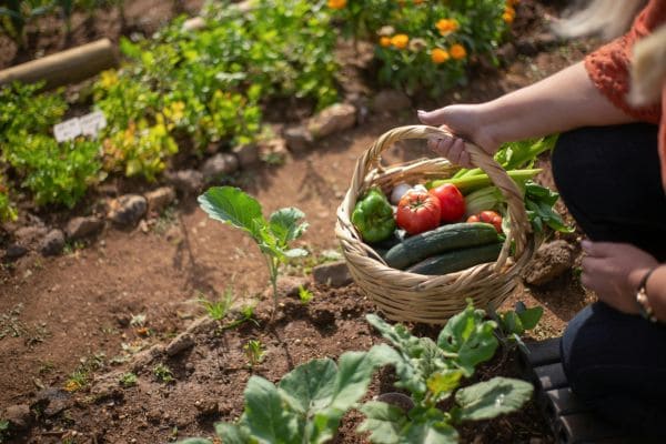 Fresh Produce